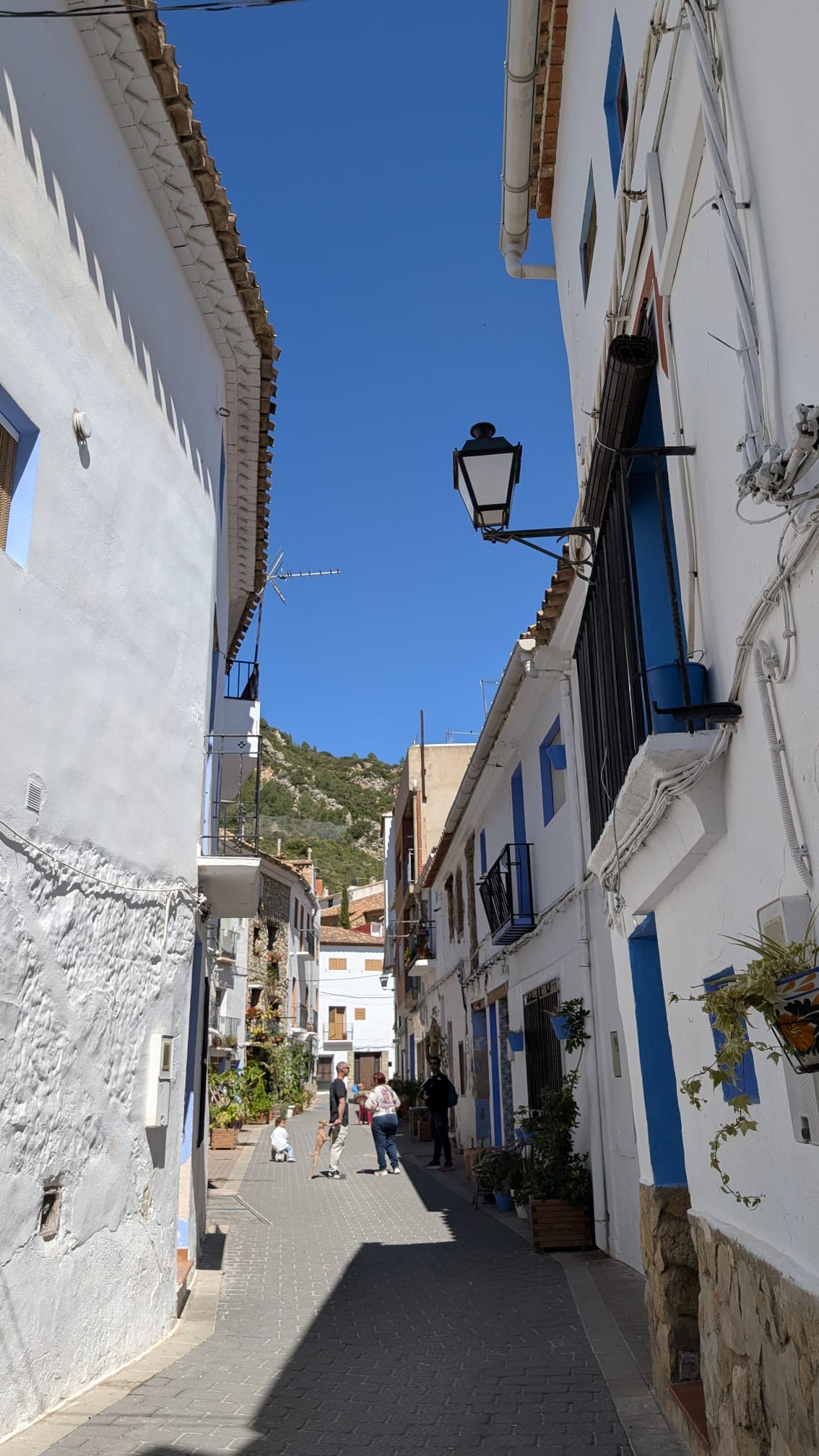 Calle con farola